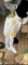 img_6666.jpeg